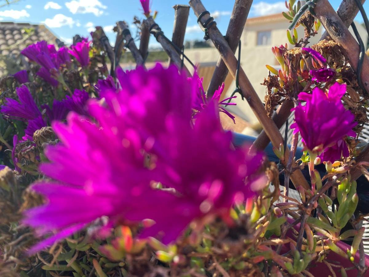 Sol Mediterraneo Algarrobo Costa Ngoại thất bức ảnh